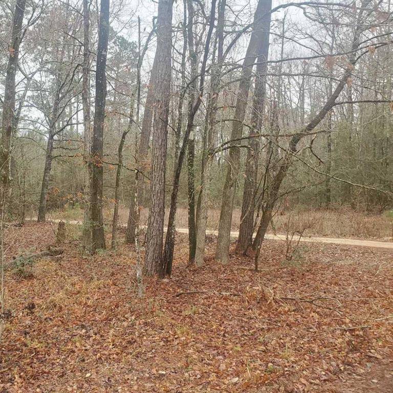 Oakhurst, TX 77359,Lots 72, 73, 74 Sweetgum LN
