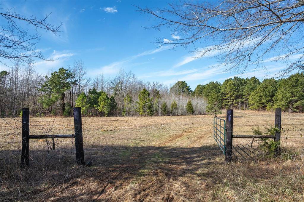 Ben Wheeler, TX 75754,tbd County Road 4812