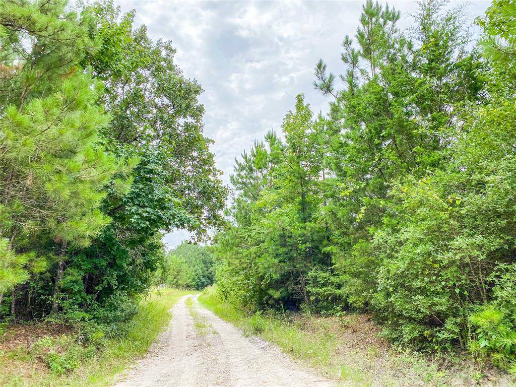 Groveton, TX 75845,00 Farm to Market 355