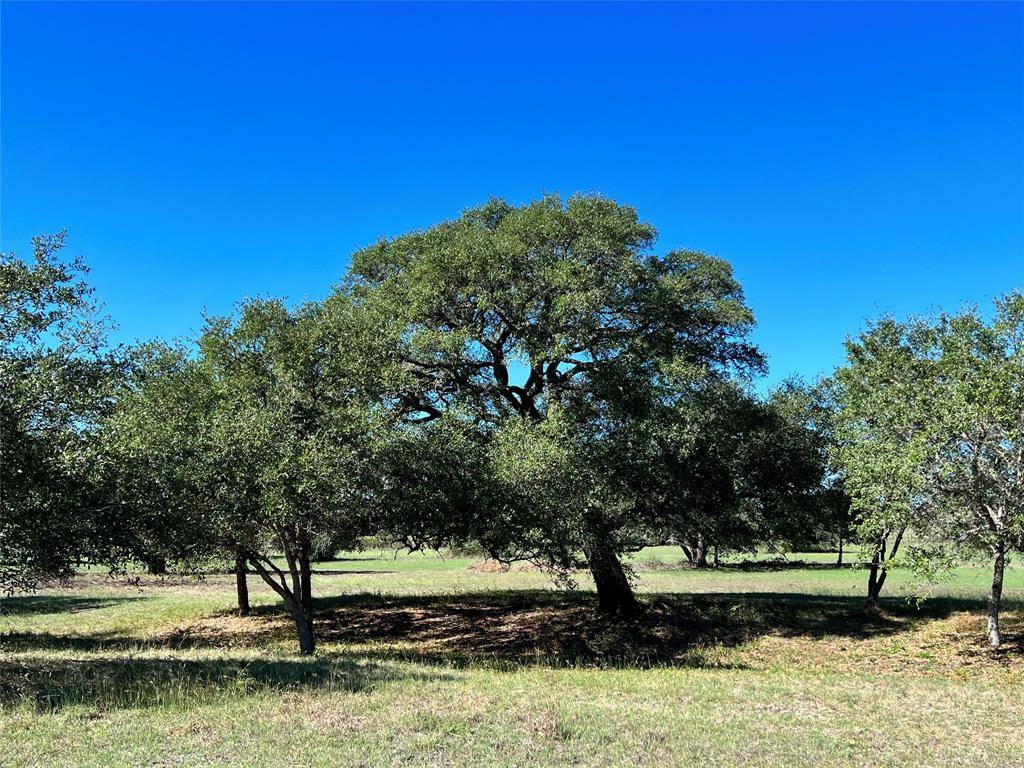 Brenham, TX 77833,TBD Affleck Appx 9 Acres RD