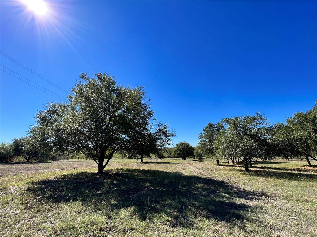 Brenham, TX 77833,TBD Affleck Appx 9 Acres RD