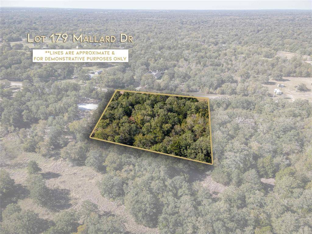 Caldwell, TX 77836,Lot 179 Mallard DR