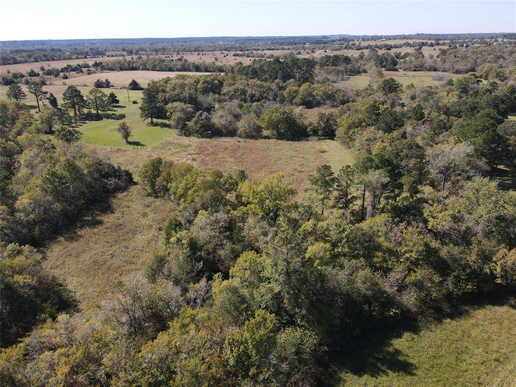 Anderson, TX 77830,000 County Road 210