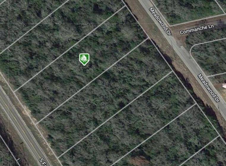 Hilltop Lakes, TX 77871,TBD Meadwood