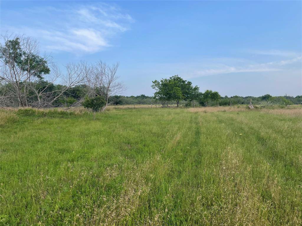 Mexia, TX 76667,1945 Hwy 84