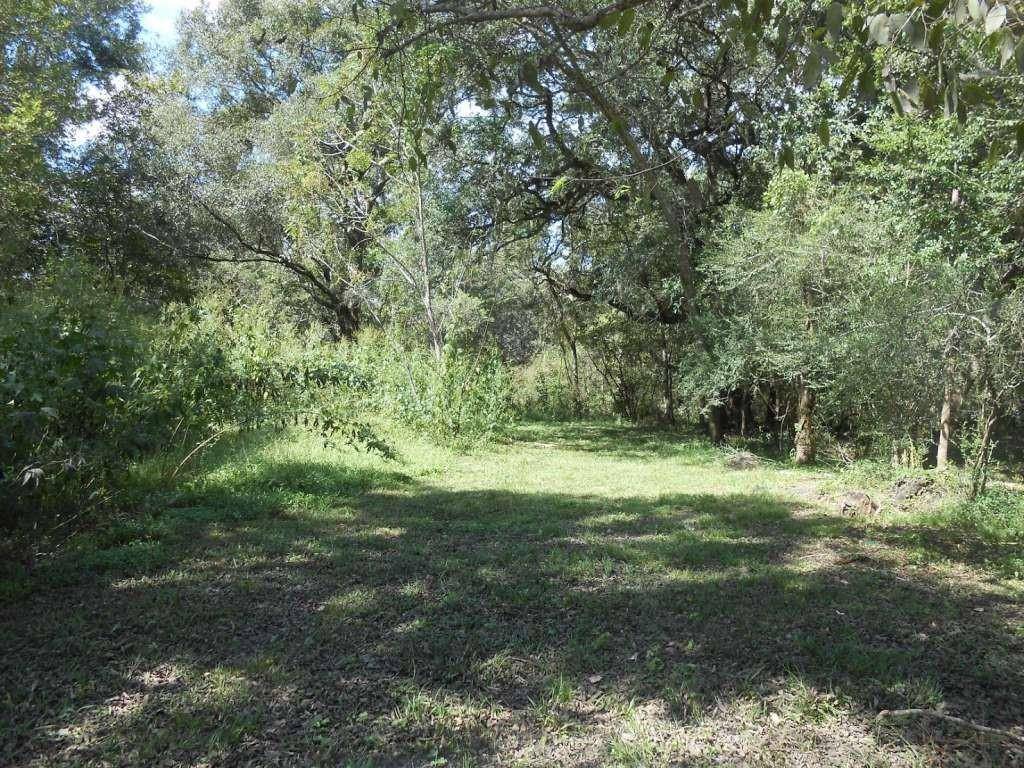 Sweeny, TX 77480,0 Bernard River DR