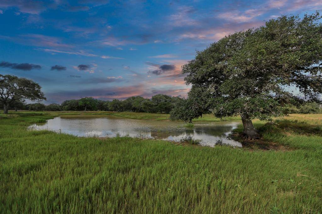 Columbus, TX 78934,TBD lot 62 Gadwall LN