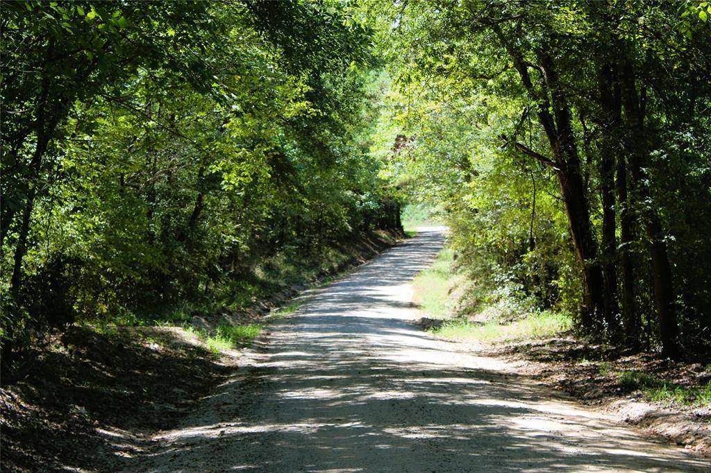 Point Blank, TX 77364,TBD Wilderness RD