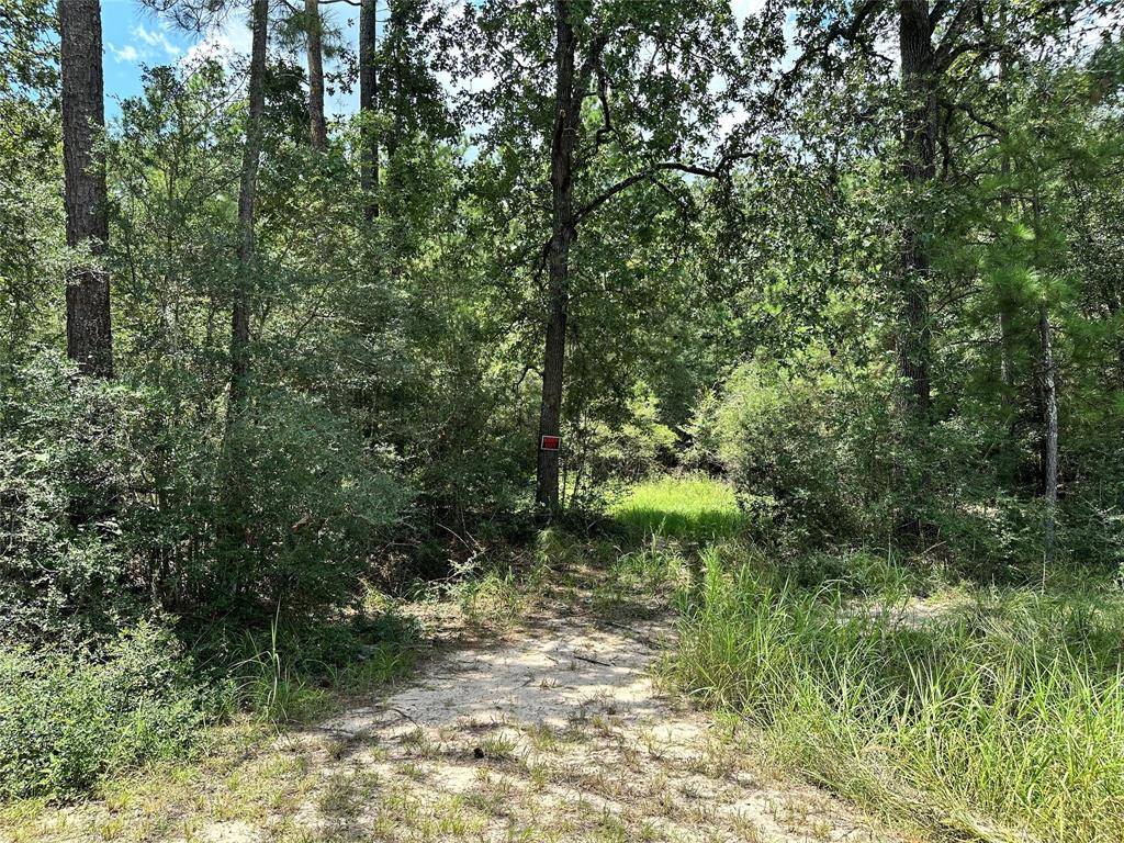 Hockley, TX 77447,Lot 152 Nottingham Circle