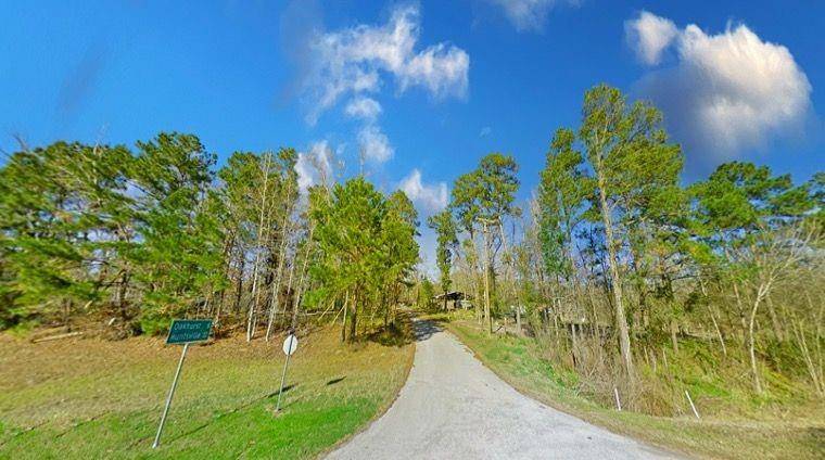 Point Blank, TX 77364,Lot 1 Forest DR