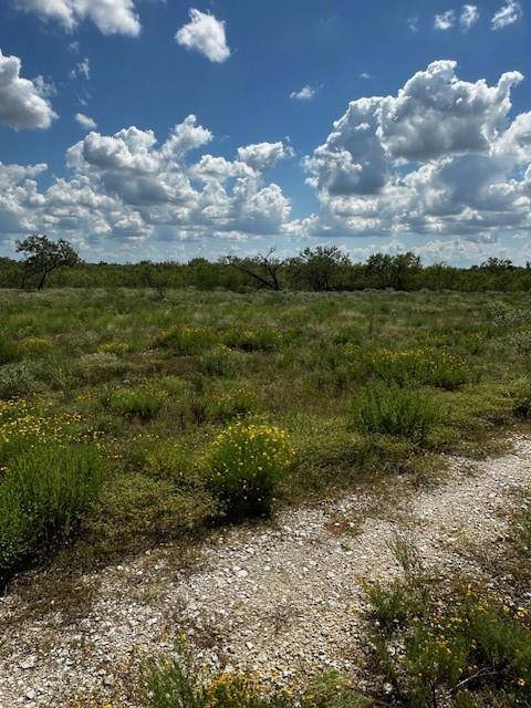 Waelder, TX 78959,TR 5 Private Road