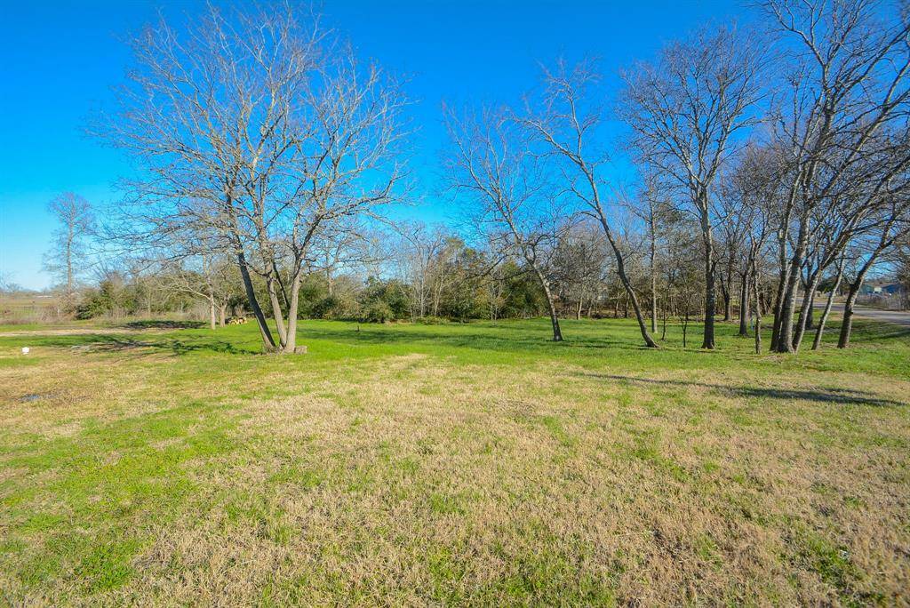 Bedias, TX 77831,21019 Prairie CIR