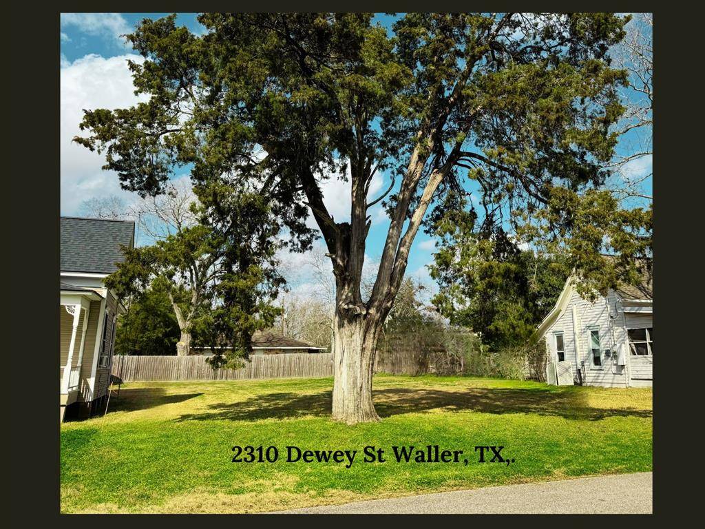 Waller, TX 77484,2310 Dewey ST