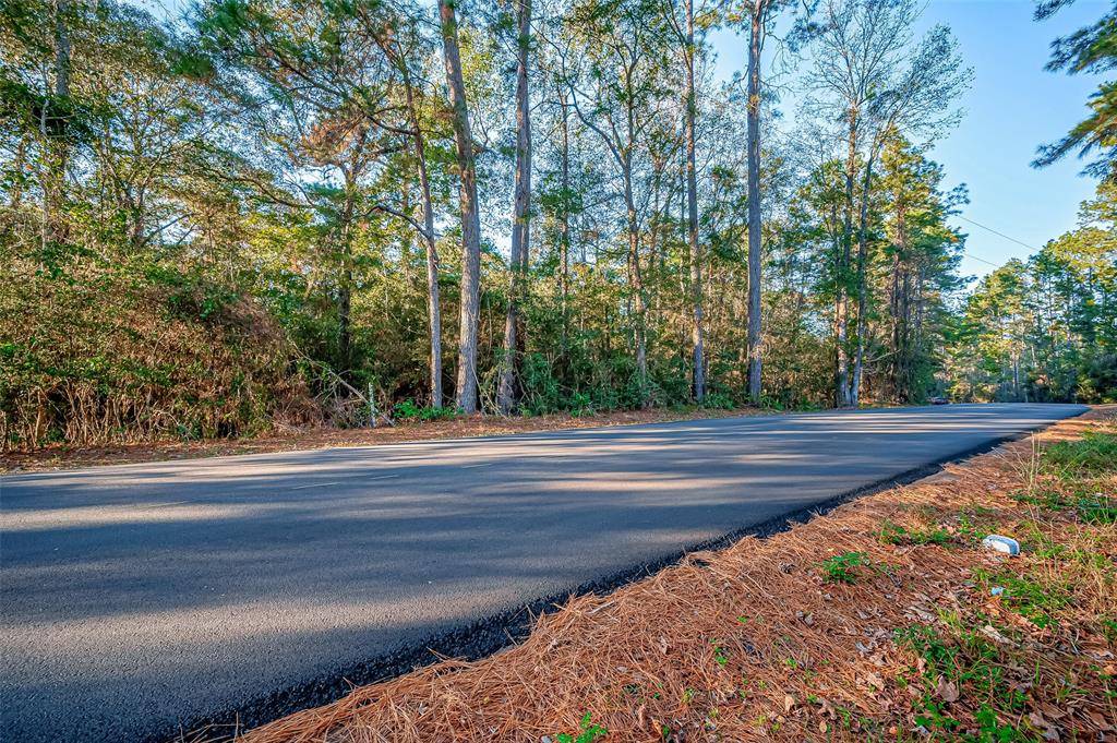 Montgomery, TX 77356,TBD LAKE MOUNT PLEASANT RD