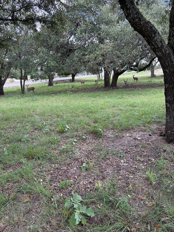 Kerrville, TX 78028,3504 Trail Head DR