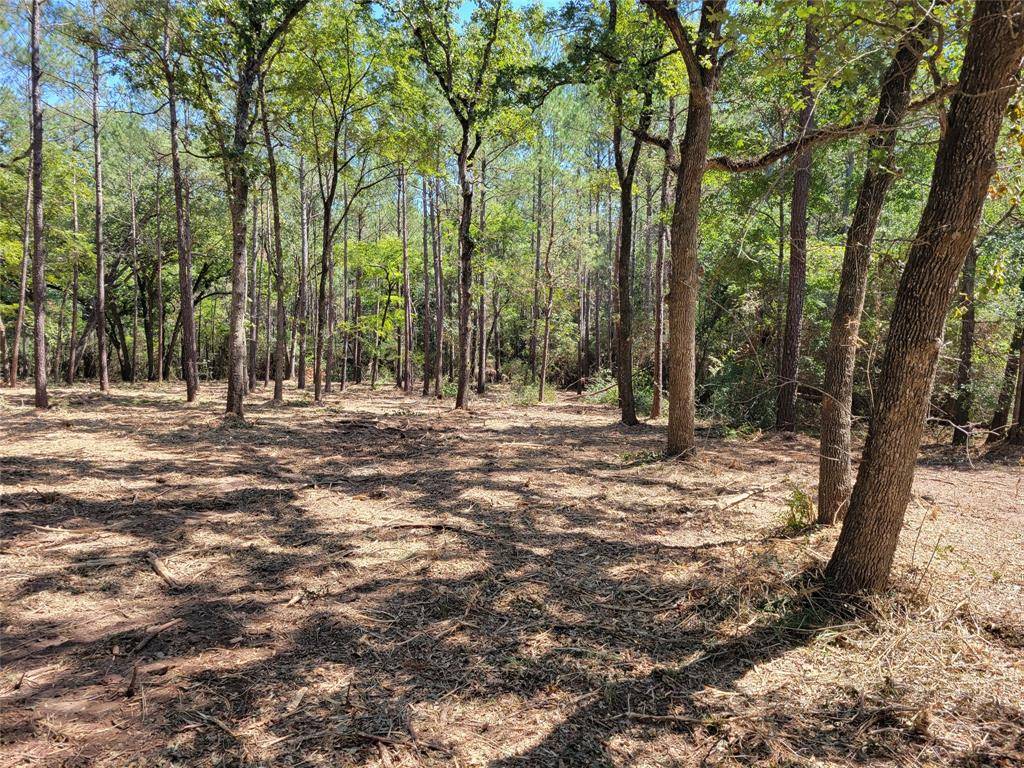 Plantersville, TX 77363,0 Shadow Woods DR