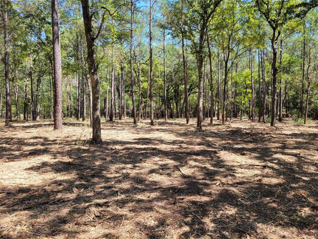 Plantersville, TX 77363,0 Shadow Woods DR