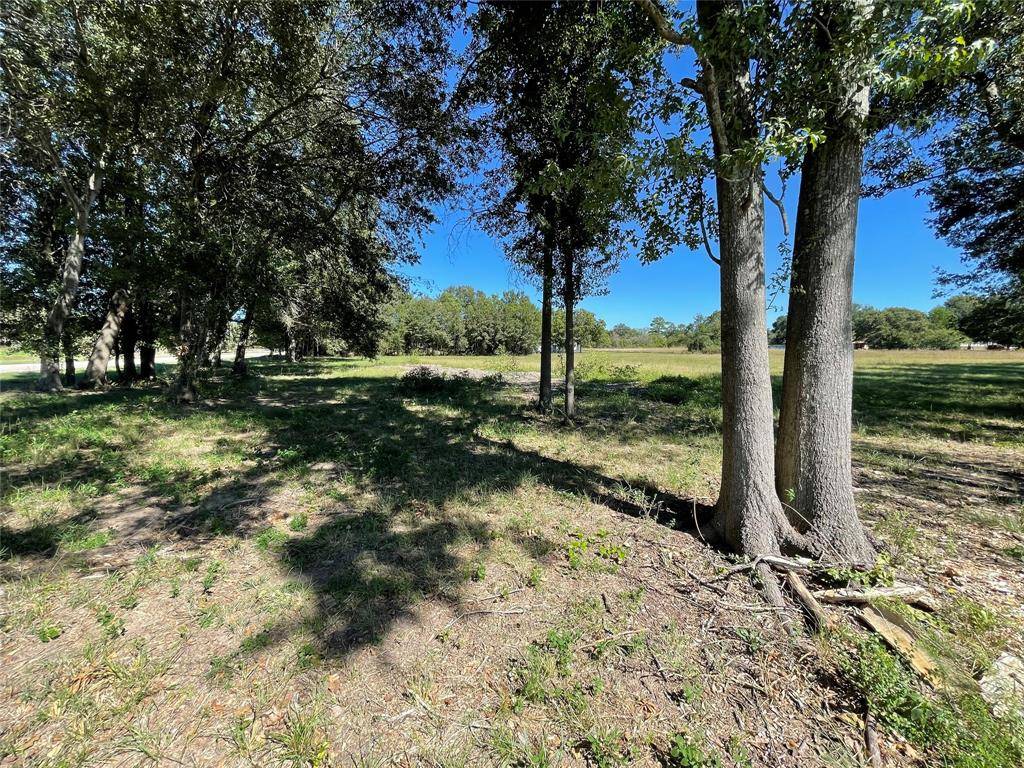Waller, TX 77484,0 Field Store RD