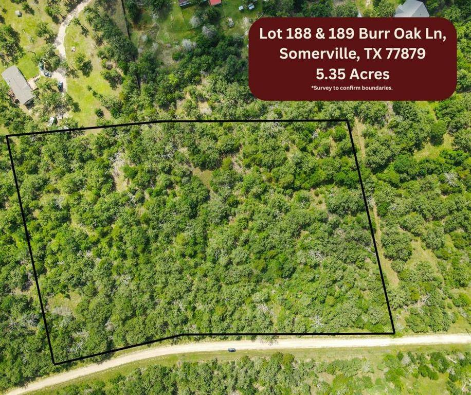 Somerville, TX 77879,Lot 188 & 189 Burr Oak Ln