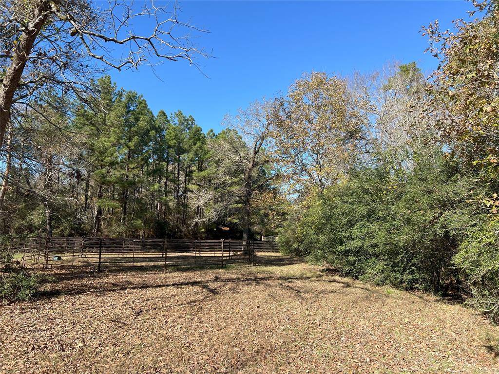 Montgomery, TX 77316,26161 Crown Ranch BLVD