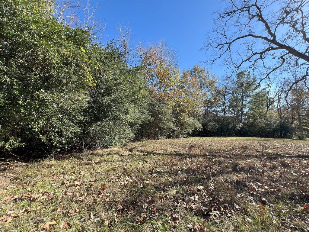 Montgomery, TX 77316,26161 Crown Ranch BLVD