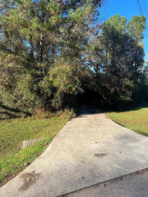 Magnolia, TX 77355,25411 N Holly Oaks CT