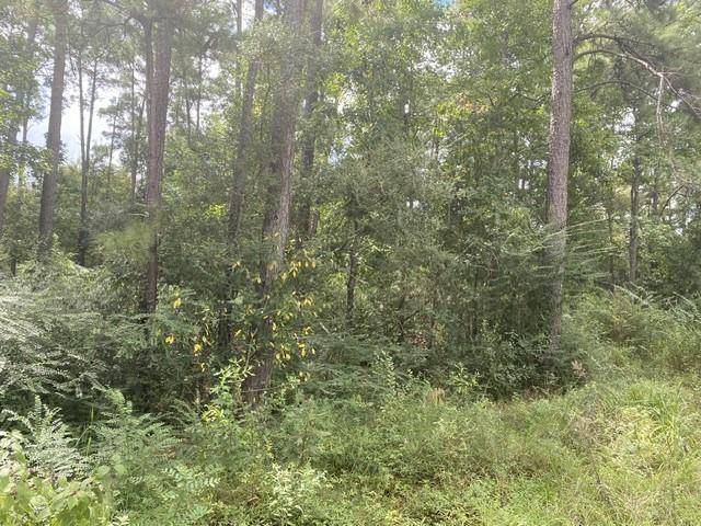 Magnolia, TX 77355,Lots 126 & 127 Meadow Wood