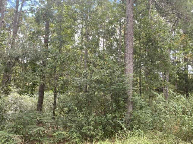 Magnolia, TX 77355,Lots 126 & 127 Meadow Wood