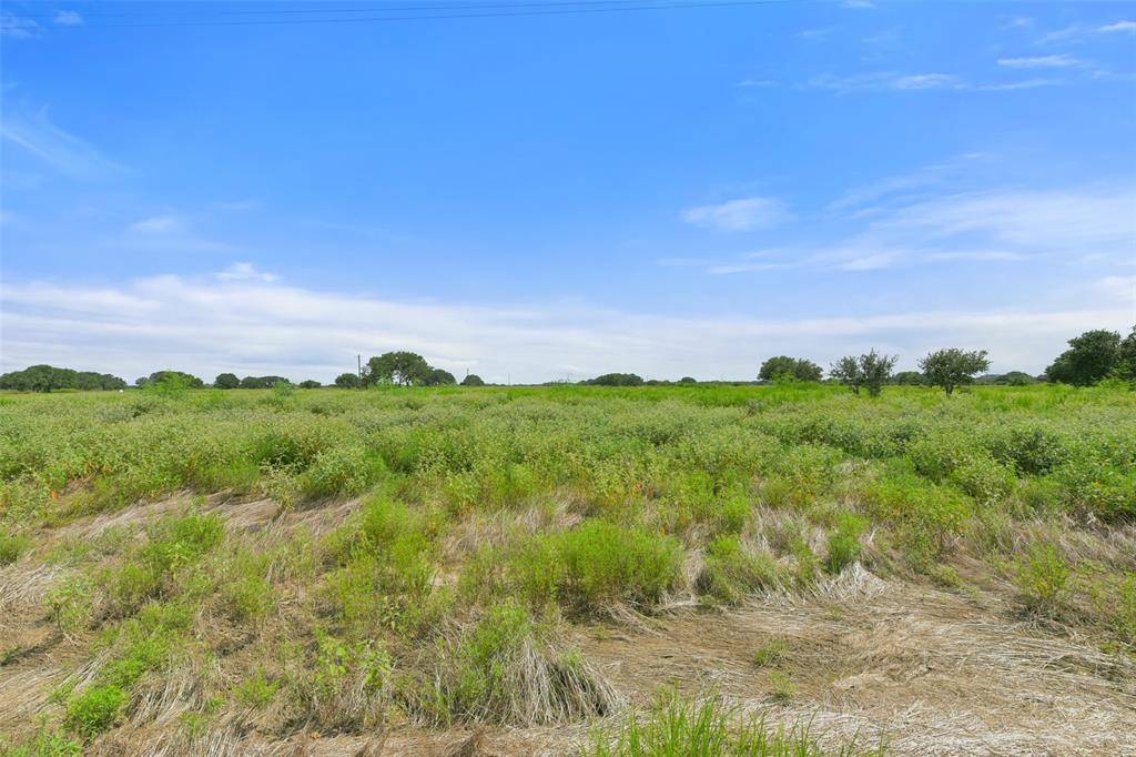 Columbus, TX 78934,Lot 97D Pintail LN