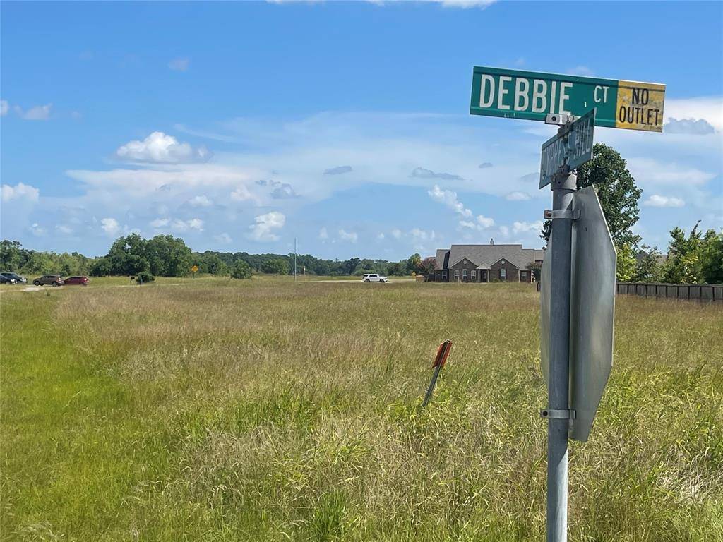 Rosharon, TX 77583,603 Debbie CT