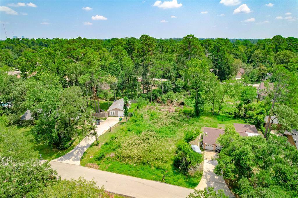 Spring, TX 77380,24410 Pine Canyon DR