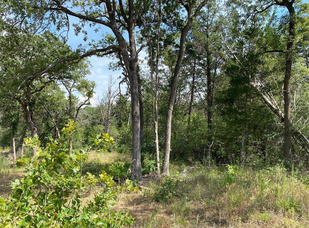 Smithville, TX 78957,TBD High Crossing Road - Tract 9