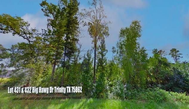 Trinity, TX 75862,Lot 431-432 Big Hawg DR