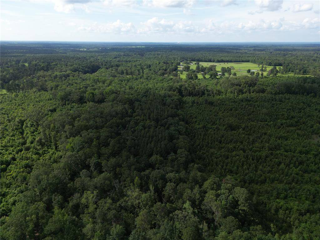 Bloomburg, TX 75556,000 County Road 4813
