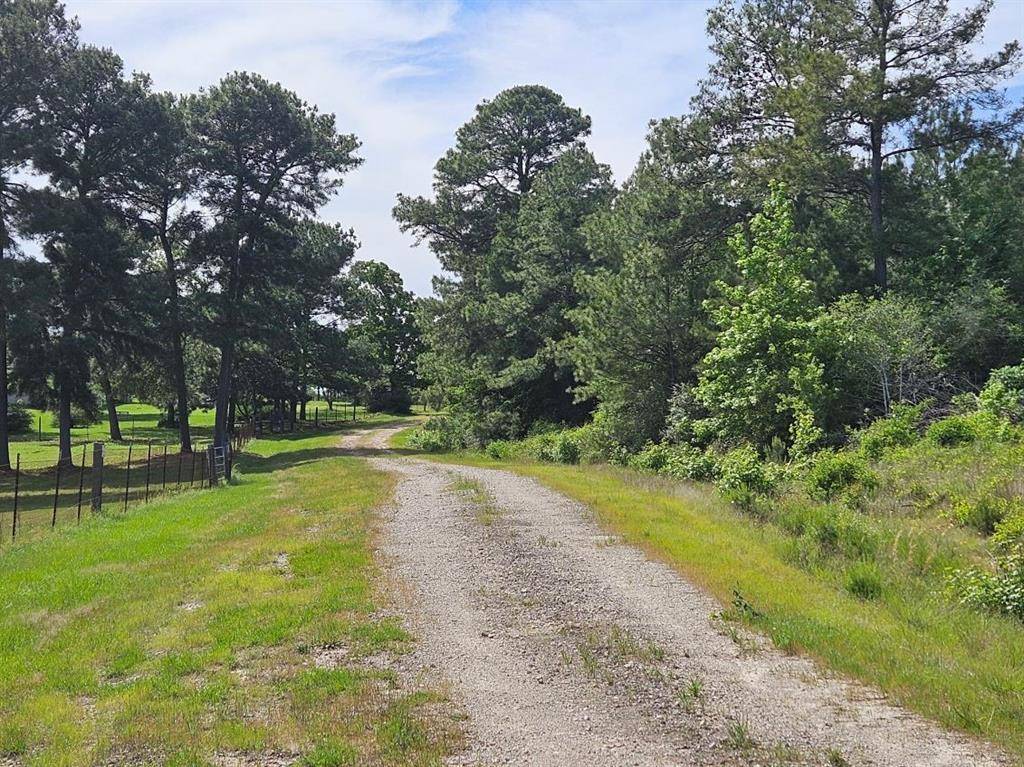 Trinity, TX 75862,tbd Hollybrook DR