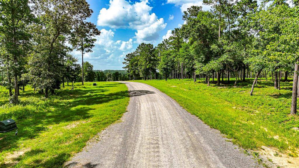 Livingston, TX 77351,TBD Ridge Lake RD
