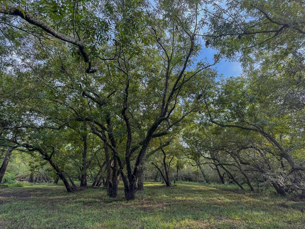 Hungerford, TX 77448,000 Baldwin DR