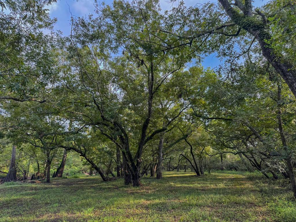 Hungerford, TX 77448,000 Baldwin DR