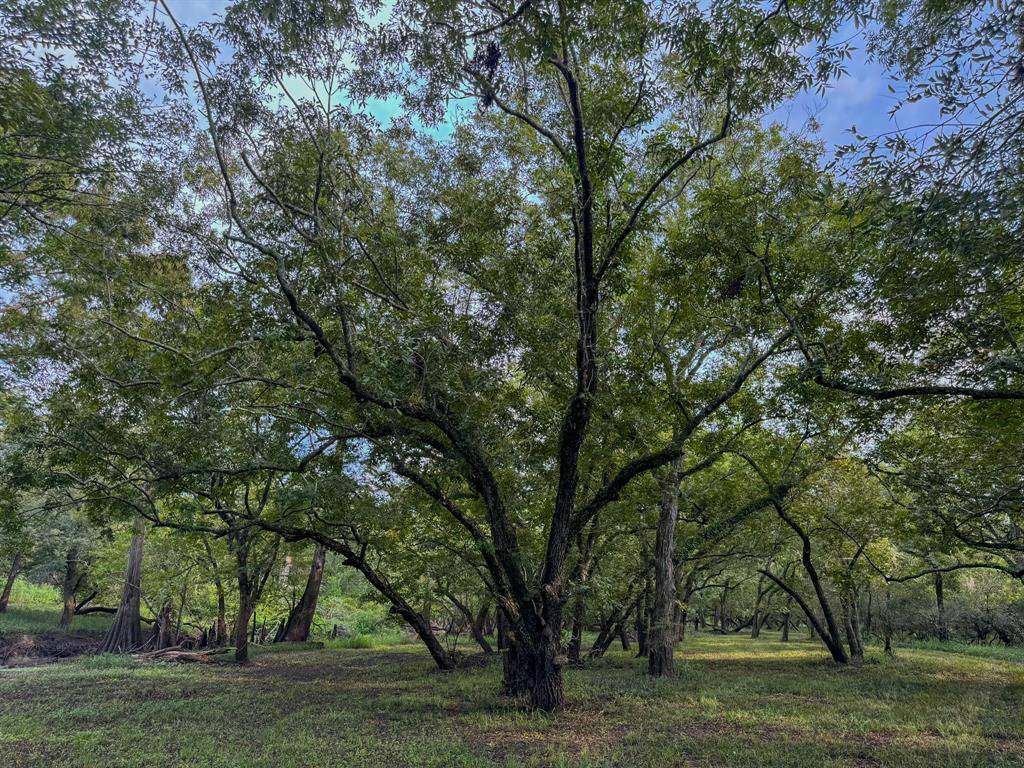 Hungerford, TX 77448,000 Baldwin DR