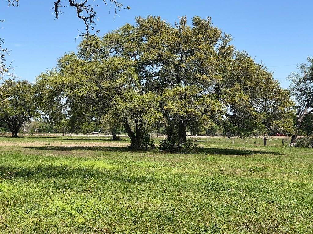 Hallettsville, TX 77964,Lot 6 PVT 1671