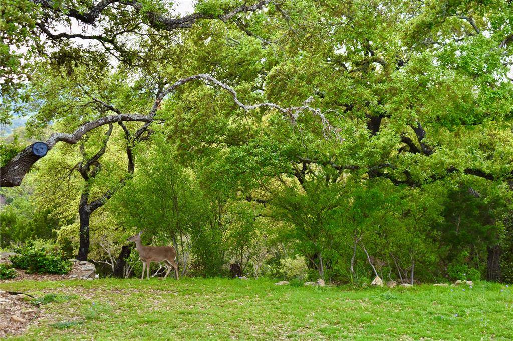 Spring Branch, TX 78070,558 Rio Ridge Pkwy