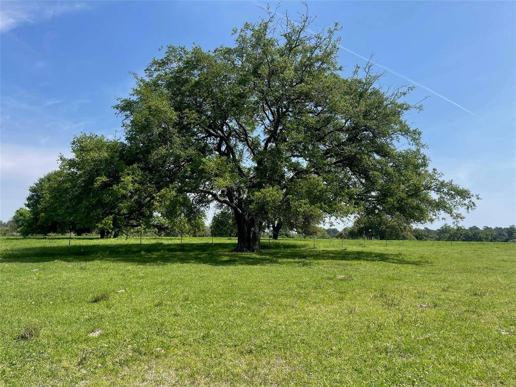 Hockley, TX 77447,26039 Magnolia LOT 3 RD