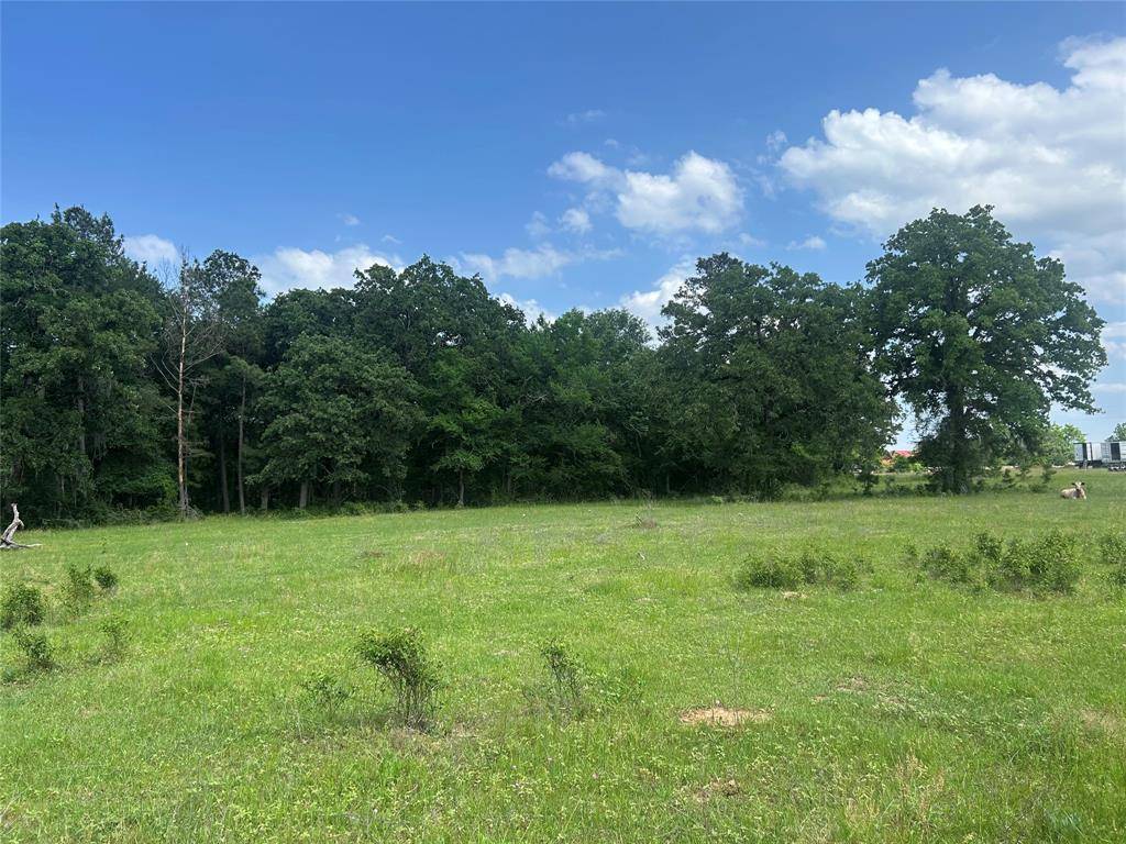 Hockley, TX 77447,26795 Rice RD