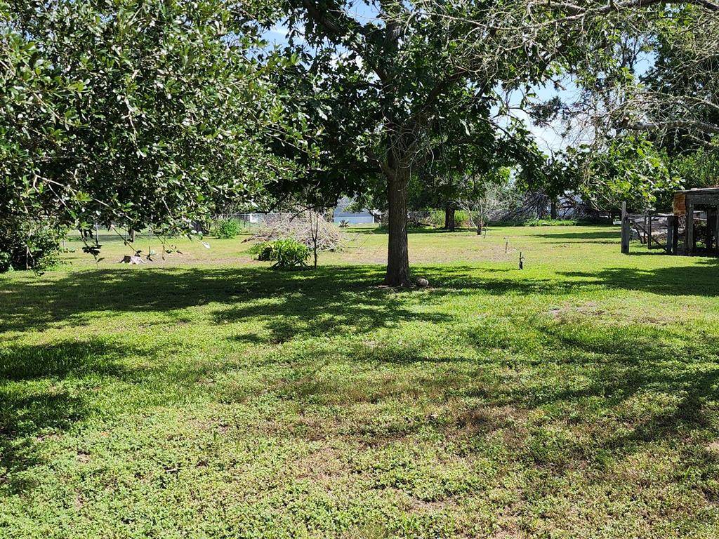 Schulenburg, TX 78956,612 Black ST