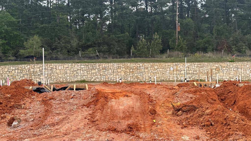 Conroe, TX 77304,12319 Ridge Top CT