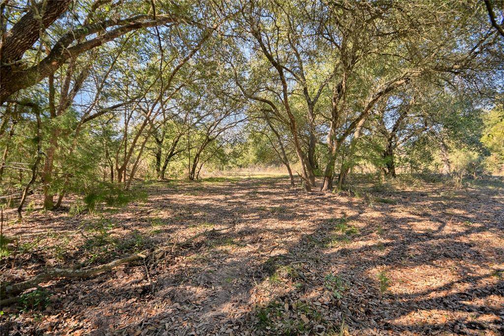 Round Top, TX 78954,1240 S Weyand Rd Lot 10