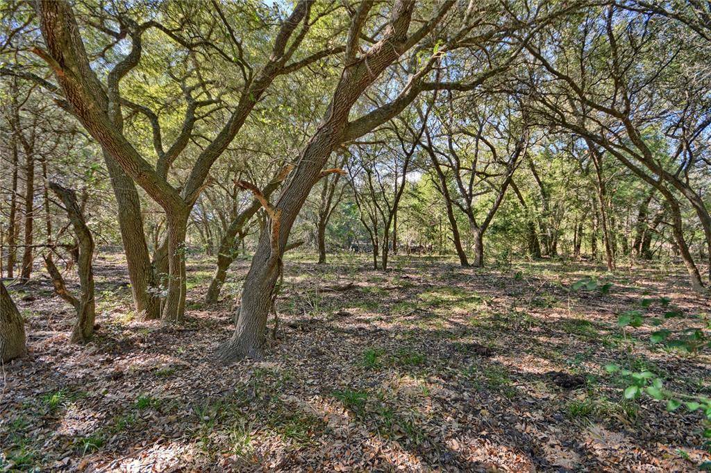 Round Top, TX 78954,1240 S Weyand Rd Lot 10