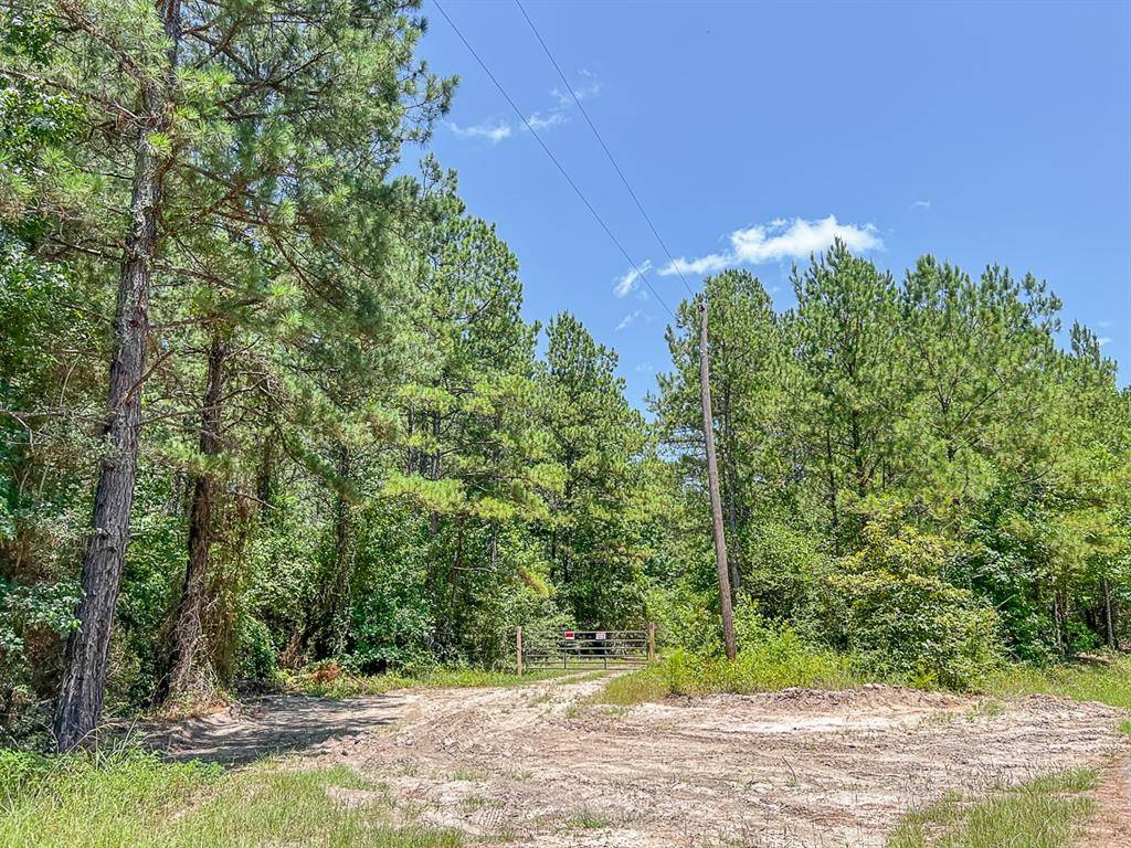 Zavalla, TX 75980,04 CR 364e