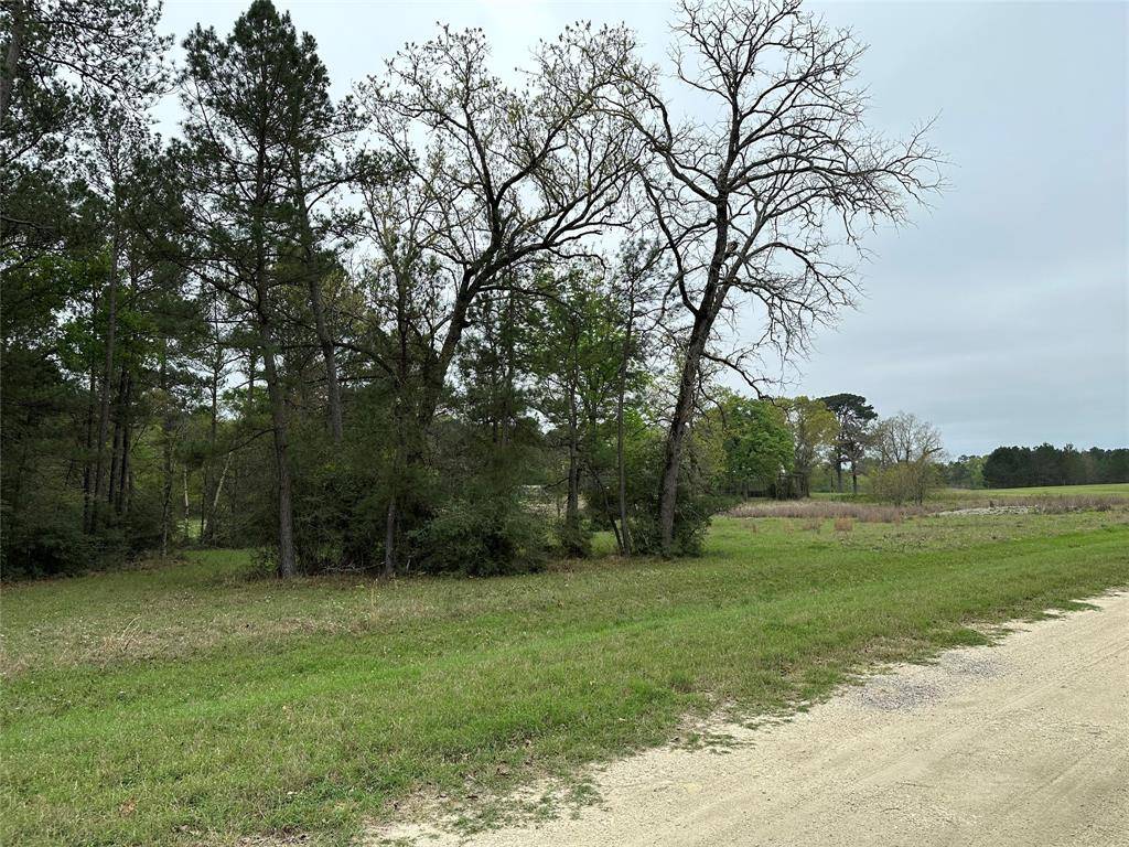 Trinity, TX 75862,Lot 25 Colomb ST