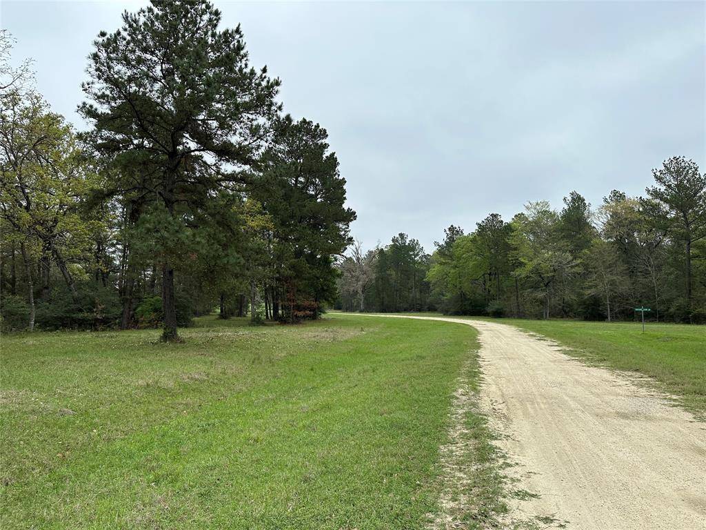 Trinity, TX 75862,Lot 25 Colomb ST